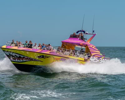 Rudee Rocket Dolphin Speedboat Ride in Virginia Beach