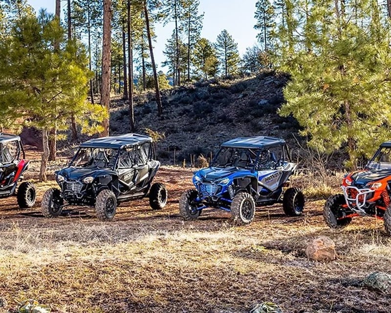 Full-Day Self-Guided UTV Rental in Dubois, Wyoming
