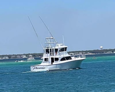 Destin Nearshore Shark Fishing Charter