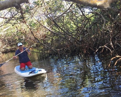Paddle Pristine Mangrove Tunnels in Neal Preserve