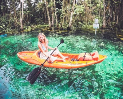 Guided Swim Eco Tour in Three Sisters Springs