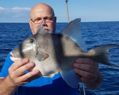 7-Hour Deep Sea Fishing Charter Hilton Head Island