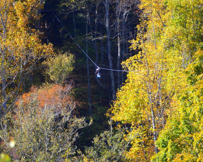 Mountaintop Zipline Tour in Scaly Mountain