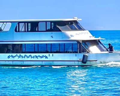 Tiki-Chic Yacht Charter From Chicago Riverwalk