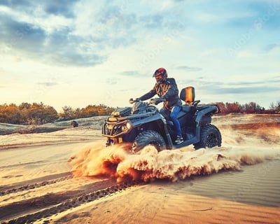 Croom 2-Hour Guided ATV Tour