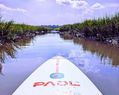 2-Hour Private Salt Marsh Paddle Near Talbot Islands