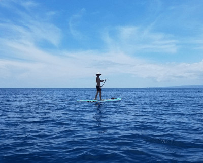 Gulf Shores Paddleboard Rental