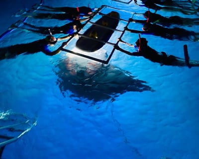 Night Manta Ray Snorkel Tour in Kailua-Kona
