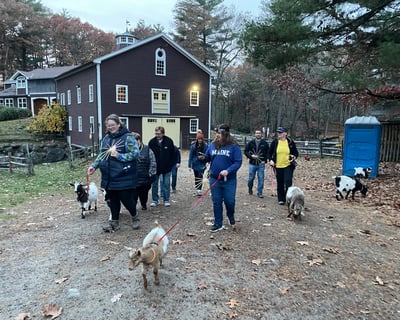 Guided Fainting Goat Hike in Georgetown