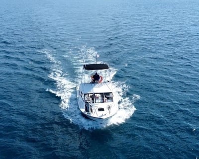 Explore Miami on a Private Dive & Snorkel Charter