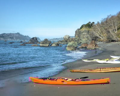 Trinidad Bay Kayak Tour
