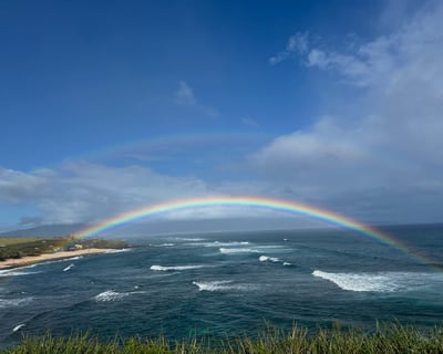 Road to Hāna Guided Day Tour