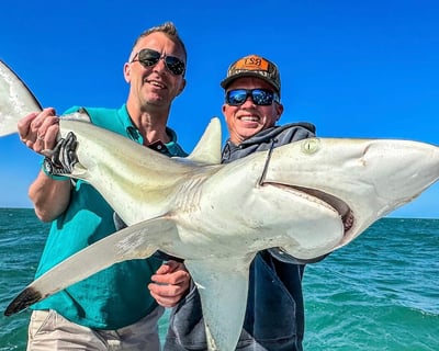 Shark Fishing Charter in Port Canaveral