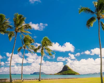 Pearl Harbor Tour with Oahu Circle Island Drive