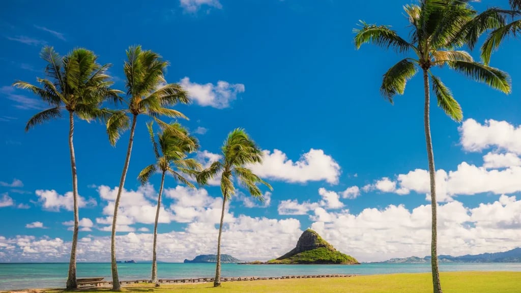 Pearl Harbor Tour with Oahu Circle Island Drive