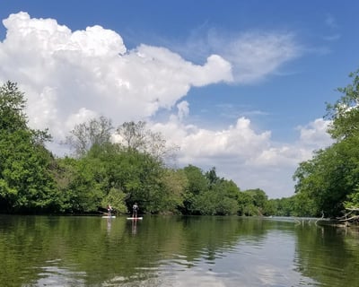 Paddle Past Biltmore Estate & Arts Studios