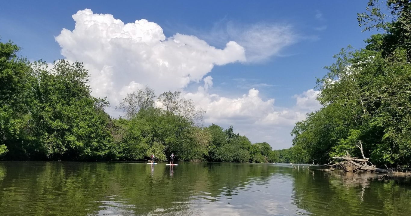 Paddle Past Biltmore Estate & Arts Studios