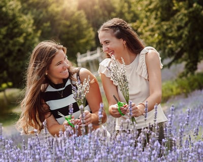 Cut Your Own Lavender in Boyne City