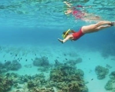 Egmont Key Express Boat Tour from Bradenton Beach