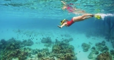 Egmont Key Express Boat Tour from Bradenton Beach