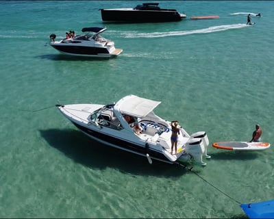 3-Hour Private Haulover Sandbar Boat Tour