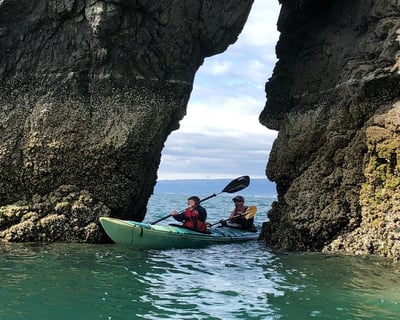 5-Hour Guided Sea Kayaking Tour in Halibut Cove