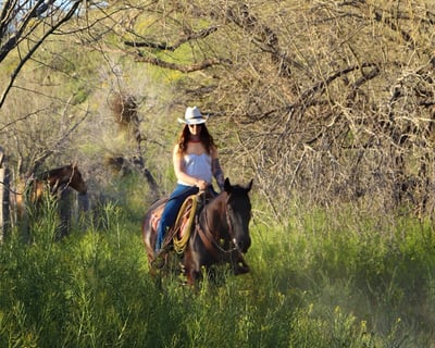 1.5-Hour Wickenburg Horseback Ride