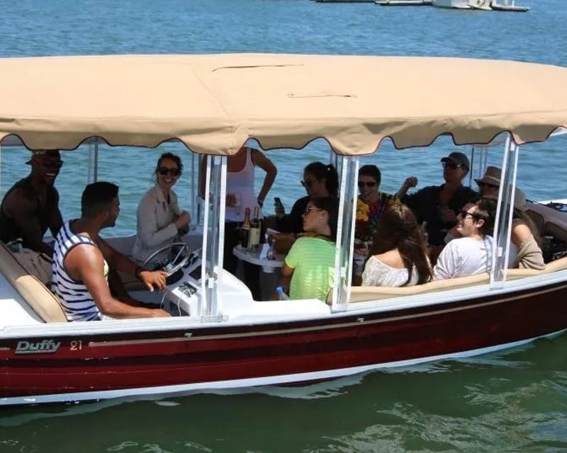 Electric Duffy Boat Rental in Marina del Rey
