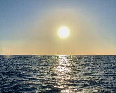 Kailua-Kona Sunset Whale Watching Tour