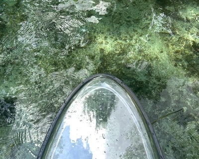 Clear Stand-Up Paddleboard Tour at Ichetucknee Springs