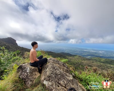 El Yunque Forest Bathing Hiking Tour
