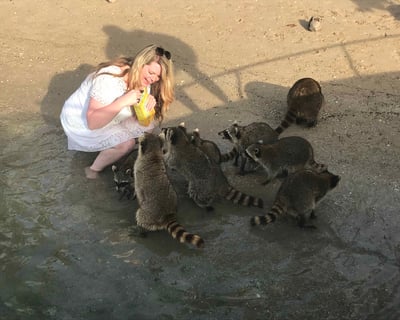 3-Hour Raccoon Island Cruise From Miami Beach