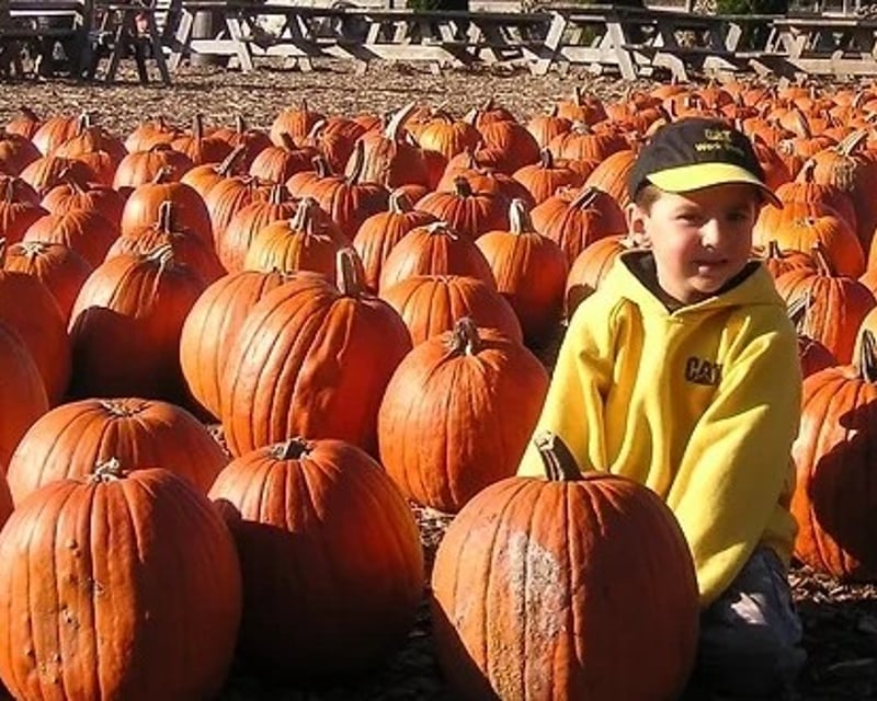 Pumpkin Picking & Hayride on a 100-Year-Old Farm in Wayne, NJ
