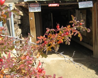 Underground Real Gold Ore Tour With Hands-On Mining