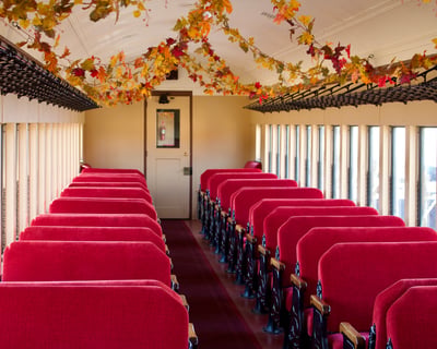 Woodstown Pumpkin Patch Train Ride