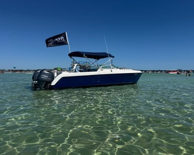 Crab Island Private Charter with Dolphins and Snorkeling
