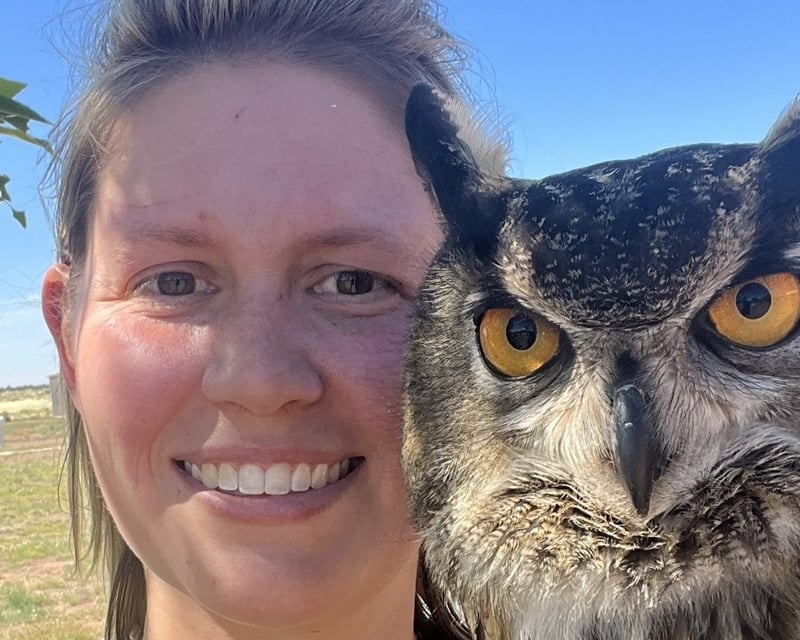 Private Hands-On Birds of Prey Encounter in Williams