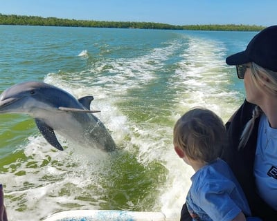 Dry Hike and Everglades Adventure in Naples