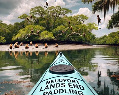 Monkey Island Kayak Tour From St. Helena Island