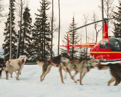 Fly to Big Lake for a Private Dog Mushing Adventure