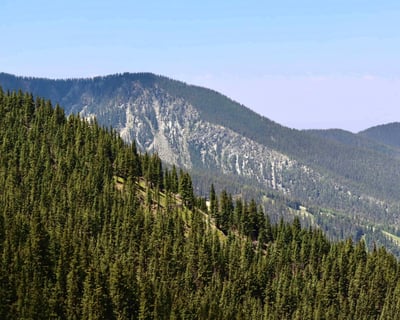 Taos Ski Valley Mountain Meadows Horseback Ride