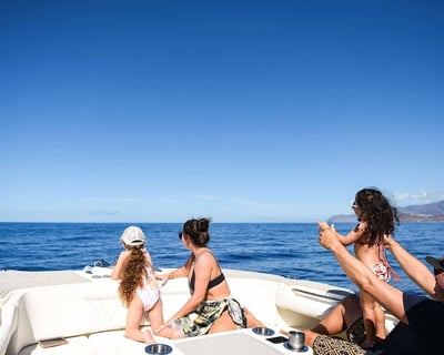 Private Whale Watching Charter in Ko Olina