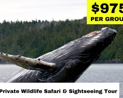 Explore Ketchikan on a 2.5-Hour Private Wildlife Tour