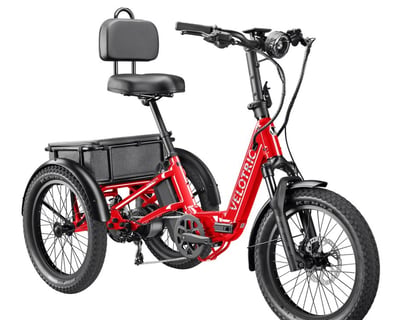 Electric Trike Rental in Leelanau County