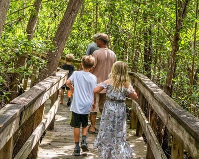 Everglades City Mangrove Boardwalk Walk