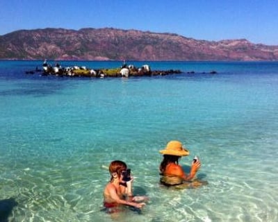 4-Hour Coronado Island Snorkeling Tour