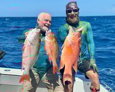 Key West Spearfishing with Professional Divemaster