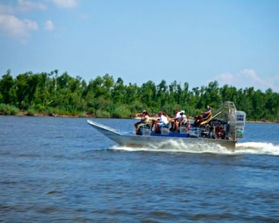 1.5-Hour New Orleans Airboat Swamp Tour