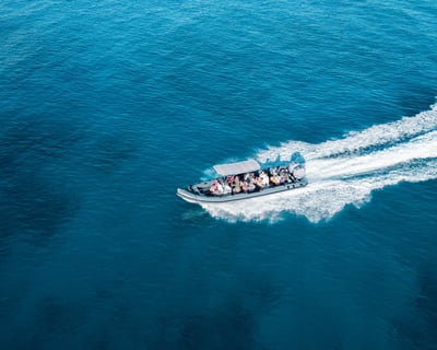 Small-Group Waikiki Snorkel Tour to Turtle Canyon