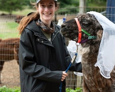 Bachelorette Alpaca or Llama Trek in Pleasant Valley